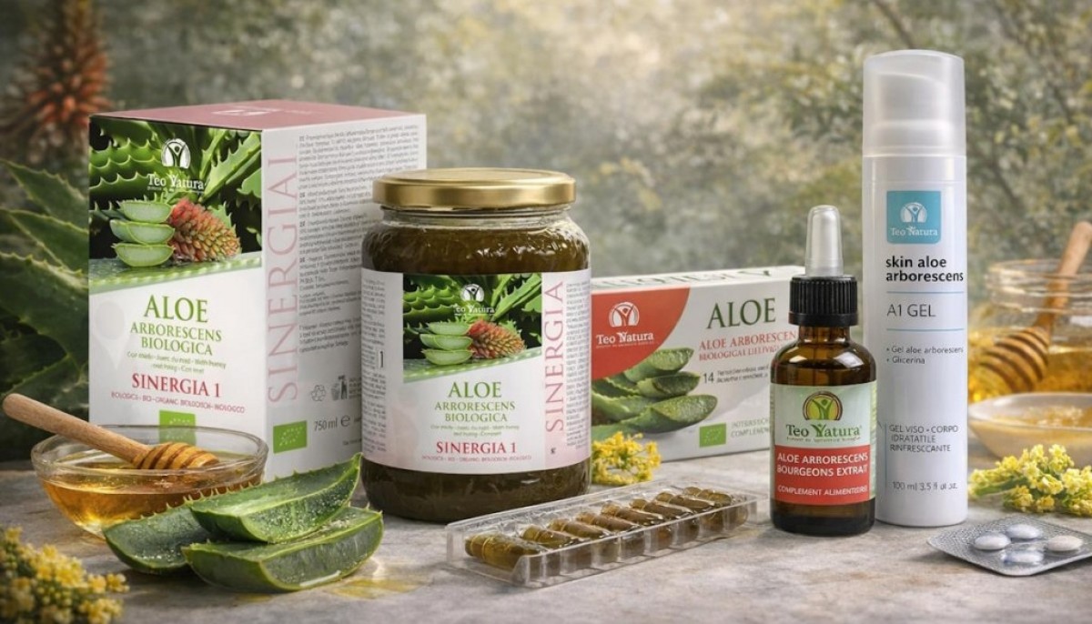 Aloe arborescens : Précautions, contre-indications et effets secondaires
