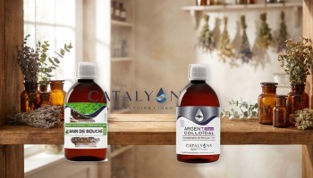 Novembre 2018 : Le Mois Catalyons