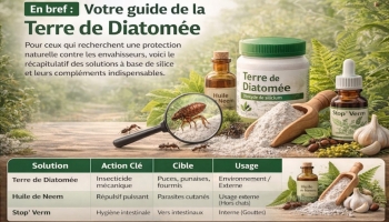 Terre de Diatomée : Comment l'utiliser en toute sécurité contre les parasites