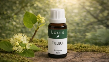 Le bourgeon de Tilleul : pour un sommeil naturel