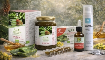 Aloe arborescens : Précautions, contre-indications et effets secondaires