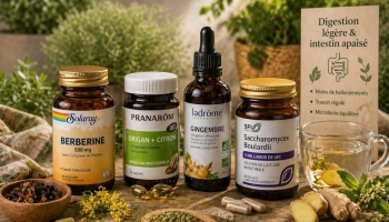 Remèdes de grand-mère contre le SIBO et les fermentations intestinales 