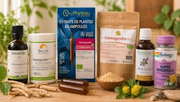 Ashwagandha ou Rhodiola : Quelle plante adaptogène est faite pour vous ?