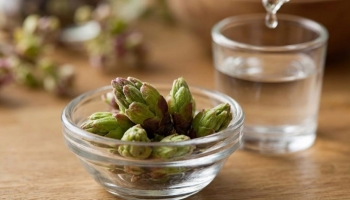 Bourgeons de cassis et arthrose : le remède anti-inflammatoire