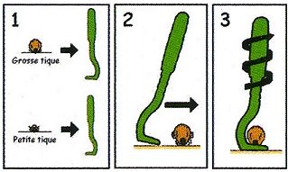 Voici la façon simple et rapide d'utiliser un tire tique disponible à l'herboristerie Louis.