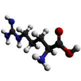 arginine