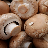 champignons