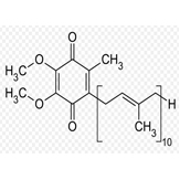 coenzyme q10