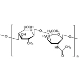 glucosamine et chondroitine