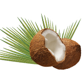 noix de coco