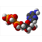 oligo-elements