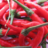 piment cayenne