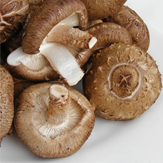 shiitake