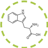 tryptophane