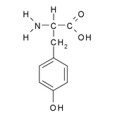 tyrosine